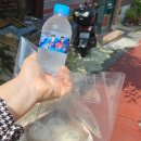 수정떡집 이미지