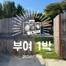 시기동 하나마트 앞 ~ 시기동 백제호텔 앞 | 부여 1박 코스, 촌캉스 여행 한옥 감성 숙소 추천, 들꽃스테이