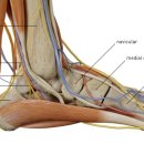 태전드림정형외과의원 이미지