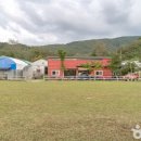 늘푸른농원 이미지