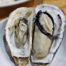 석굴집 | 원주 뒤뜰 겨울에 먹는 석굴찜 찐맛집 (원주 늦게까지하는 식당)