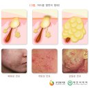 인천감초당한의원 이미지