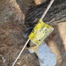 CU서천홍원항점 | 23.2.9-23.2.11 낭만가득 서천 춘장대 해수욕장 솔내음 야영장 후기