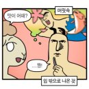중년과새싹 | 내돈내산 전주 맛집 뽀개기 (현대옥, 백김치새싹막회 🌱,또간집 돼지박사) 전주 맛집 추천 🌟