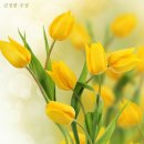 행복한하루 이미지