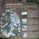 봉림동 큰나무공원 인근 삼거리 남동쪽 | 2022-08-13 고양누리길 9코스 걸으며 우산 속에 갇히다