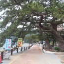 큰솔모텔 이미지