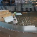 라뽀동물병원 이미지