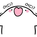 신안소망부동산 공인중개사사무소 네이버블로그