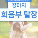 인제메디컬센터 이미지