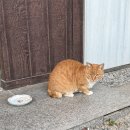 토모노야호텔&료칸 | [거제도 여행]거제 토모노야 호텔&amp;료칸 후기_부산근교여행, 거제도숙소추천