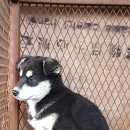 양산농장 이미지