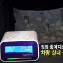 그린세차 이미지