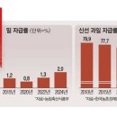 플레이션 이미지