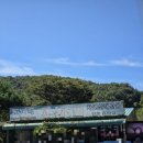 문성5호 - 중구 도원로14번길 8 | 전현무계획보고 다녀온 대부도 민어매운탕 문성5호 내돈내산 솔직후기