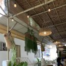 카페모니 이미지