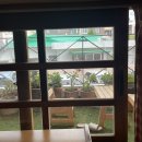 어바웃댕댕 이미지