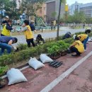 배곧1동 행정복지센터 이미지