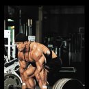 시드니짐 이미지