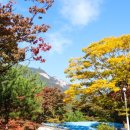 옥샘캠핑장 이미지