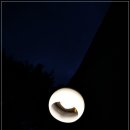 연인벨리 이미지