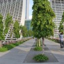 상진목장 이미지