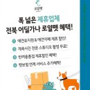 로얄펫 강아지분양 고양이분양 전주점 네이버블로그