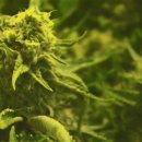 (주)미주 이미지