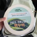 유곡리 | 가야고분군 팸투어 남원 유곡리와 두락리고분군 후기