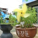 장동1리경로당 이미지