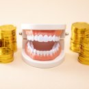 나무치과기공소 이미지