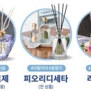 캔들코리아
