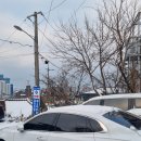 브리지스톤 v300 6세대 중고 골프채 매입하고 피츠원 피타스 아이언 교환 후기