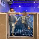눈빛사 | 서울 강남 워터룸 눈빛사 수영장 생일파티장소 추천