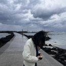 뽀얀빨래방 이미지