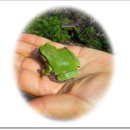 외연도6 이미지