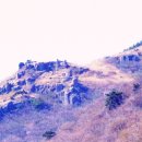 들국화(만수)마을 이미지