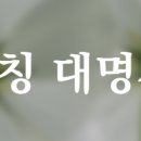 대명사 이미지