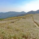 병기목장 이미지