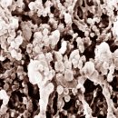 세로톤 헬스케어 이미지