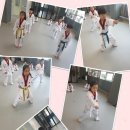 계룡태권도 이미지