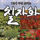 녹지원 농장 이미지