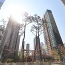 금주공인중개사사무소 이미지