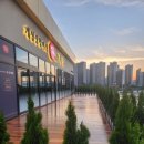 개성상황버섯삼계탕 이미지