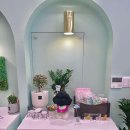 펫티 살롱 이미지