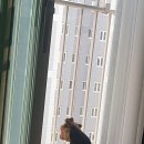 명인스낵 이미지
