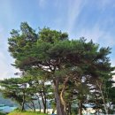 하이힐무인호텔 | 충남 금산숙소 깨끗하고 편안한 하이힐 무인호텔