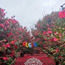 휴애리 자연생활공원 이미지