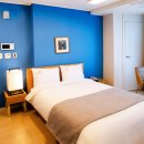 플레아드블랑(PLEA DE BLANC) 이미지