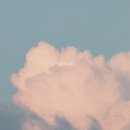 나란히 흐르다 이미지